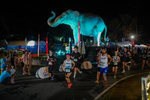 BIB: 
                            <button type="button" onclick="openModal(26552287)" class="btn btn-primary btn-sm float-right btn-popup" data-toggle="modal" data-target=".modal-high-quality">
                        <i class="fas fa-shopping-cart"></i> Add to Cart
                    </button>
                                            <button type="button" onclick="isThisMe(26552287, true)" class="btn btn-success btn-sm float-right btn-popup btn-isme hidden" data-toggle="tooltip" data-placement="bottom" title="นี่คือรูปของคุณใช่ไหม คลิกที่นี่เพื่อเอาเข้าอัลบั้ม">
                        <i class="fas fa-plus"></i> Add to album
                    </button>
                    <button type="button" onclick="isThisMe(26552287, false)" class="btn btn-warning btn-sm float-right btn-popup btn-isnotme hidden">
                        <i class="fas fa-ban"></i> Remove from album
                    </button>